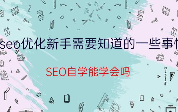 seo优化新手需要知道的一些事情 SEO自学能学会吗？